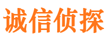 江源市侦探